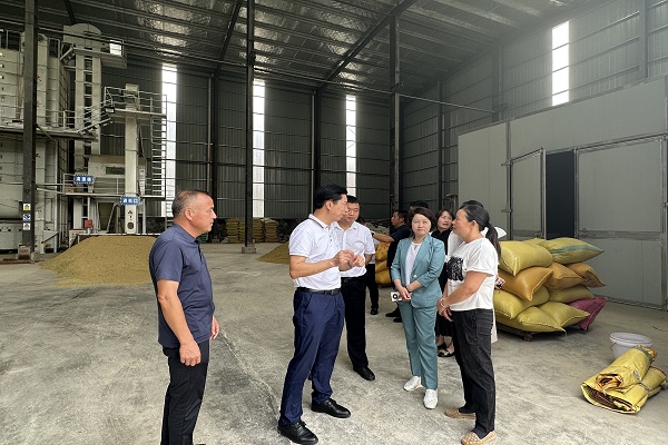 民进长沙市委会“壮大新型集体经济，持续赋能乡村振兴”课题组赴