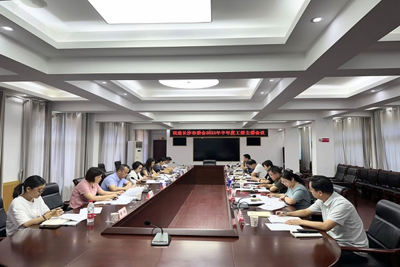 民进长沙市委会召开2023年半年度工委主委会议