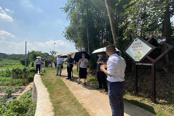 “民主党派助力乡村振兴的路径研究”课题组赴株洲市石峰区、芦淞
