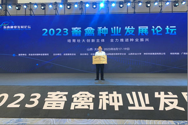 长沙民进会员企业入选国家生猪核心育种场  铸强种猪“中国芯”