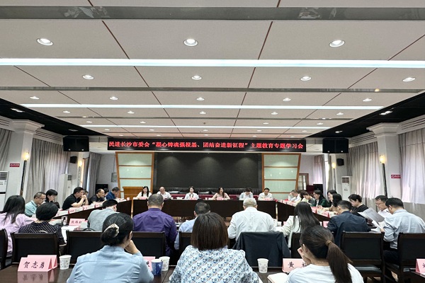 民进长沙市委会举行“凝心铸魂强根基、团结奋进新征程”主题教育