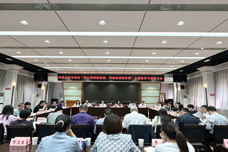 民进长沙市委会举行“凝心铸魂强根基、团结奋进新征程”主题教育专题学习会