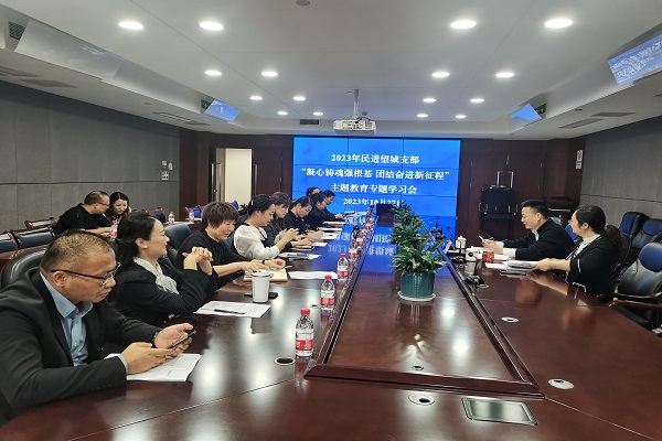 民进望城区支部召开“凝心铸魂强根基、团结奋进新征程”主题教育