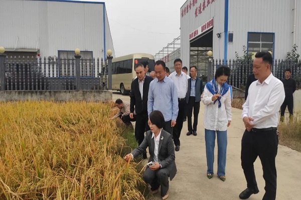 基层供销社改革课题得到中共湖南省委常委、常务副省长张迎春的重