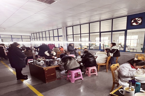 民进长沙市文化艺术委员会、文化支部开展“凝心铸魂强根基、团结