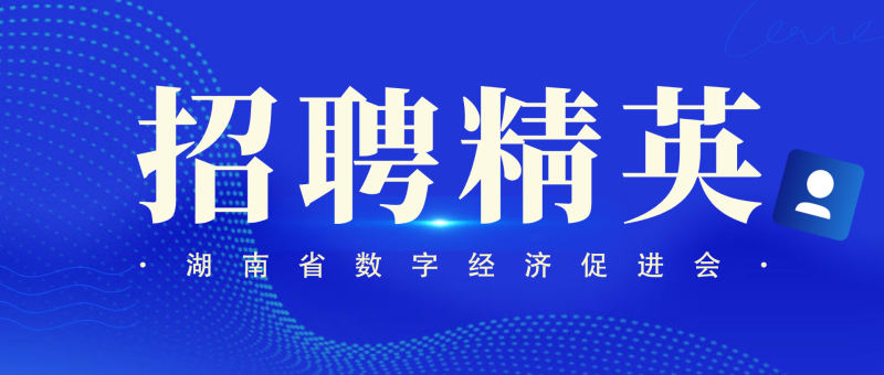 湖南省数字经济促进会招聘财务专员1名