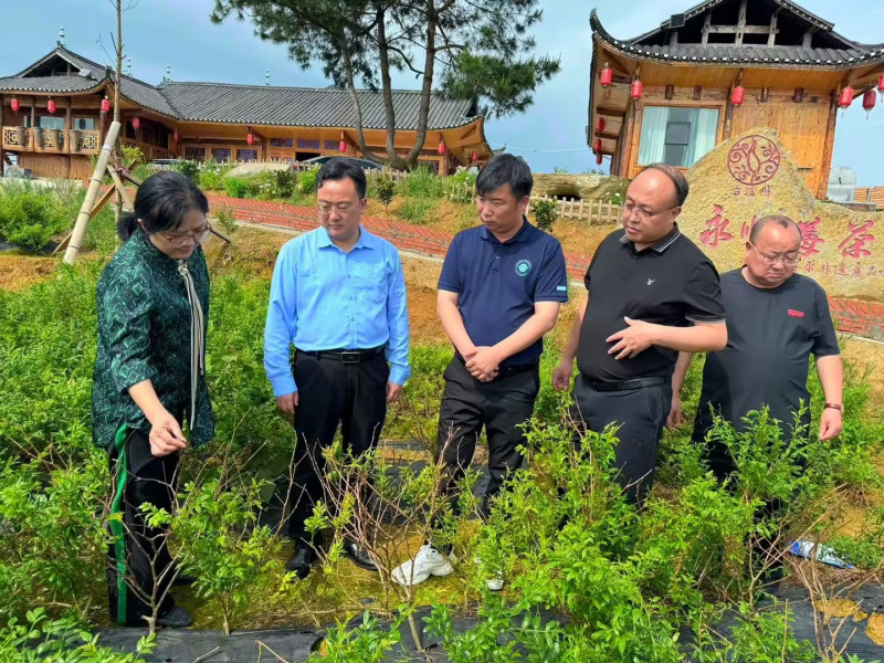 我会会长受邀参加“融通民营企业资源建强区域城乡数字供应链”课题调研工作