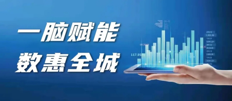 关于开展全市数字经济领域企业基础信息采集和维护工作的通知