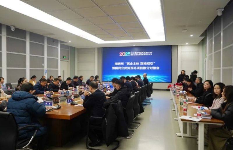 2025年湘西州“民企主体·双推双引”暨国企民企优势互补项目推介对接会在长沙举行