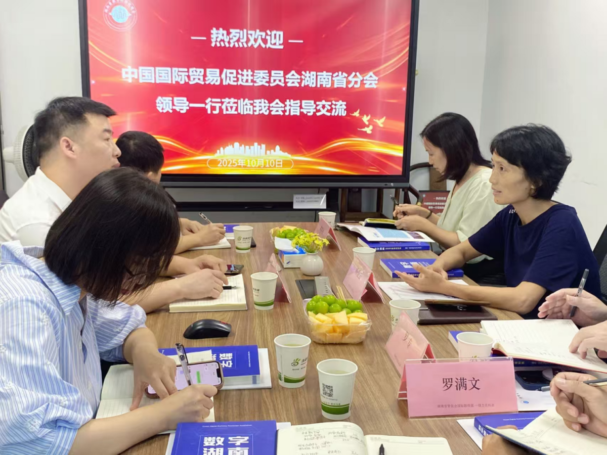 政企协同破局新消费电子赛道 湖南省数字经济促进会与省贸促会共推湖南产业升级