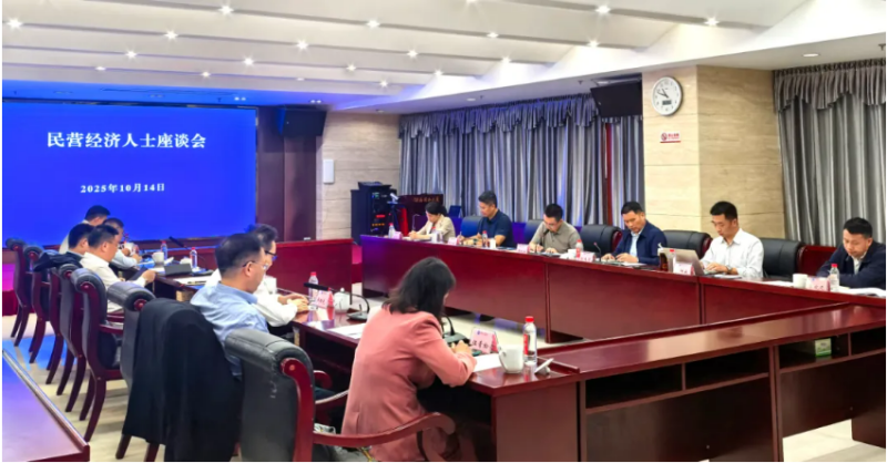 民营经济人士座谈会在湘举行 政企同心共探发展新篇​