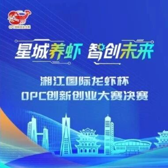 以赛聚才 以产兴城 | 2026 “湘江论智” 国际研讨会即将举办，湖南省数字经济促进会协办