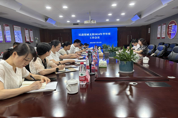 民进望城区支部召开半年度工作总结会议