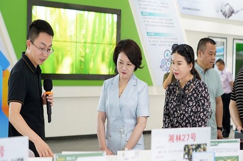 民进长沙市委会主委李平带队开展主课题调研
