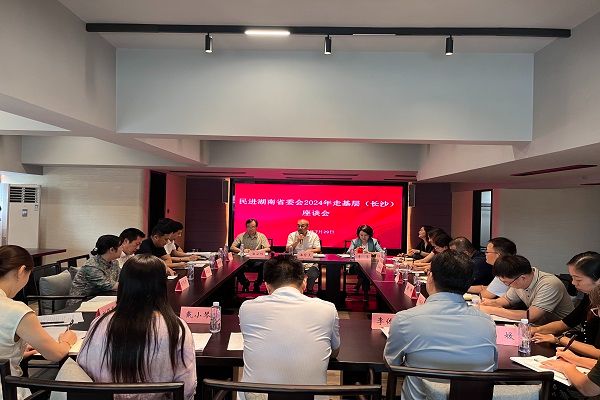 民进湖南省委会主委潘碧灵赴长沙市委会走访调研