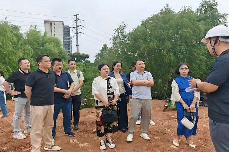 民进天心区工委、天心区政协先锋委组联合  开展“庆华诞 展风采”主题活动