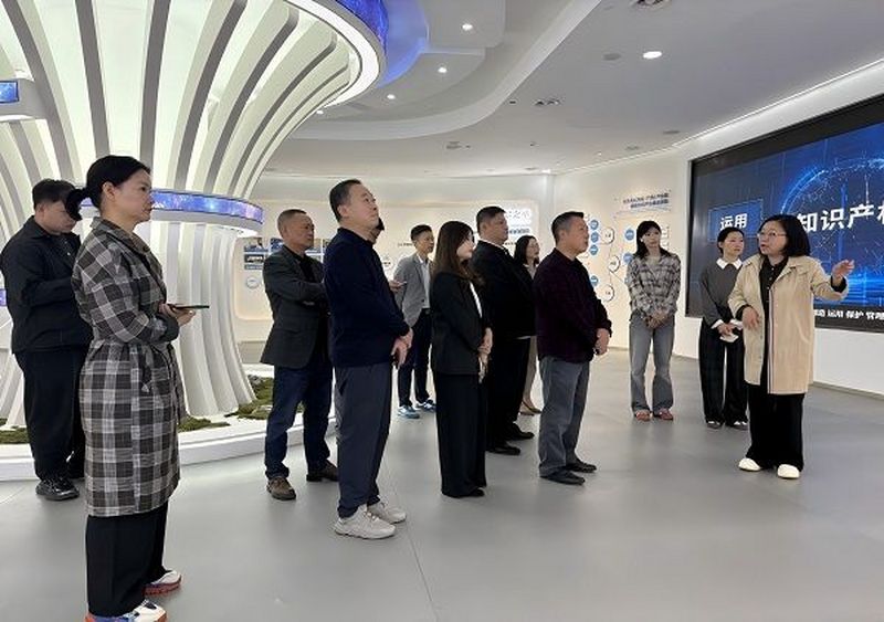 促力拼经济，民进联合支部企业家赴天心创谷考察