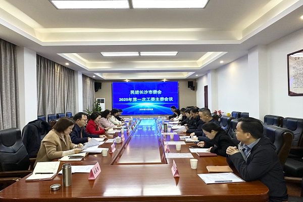 民进长沙市委会召开2025年第一次工委主委会议1