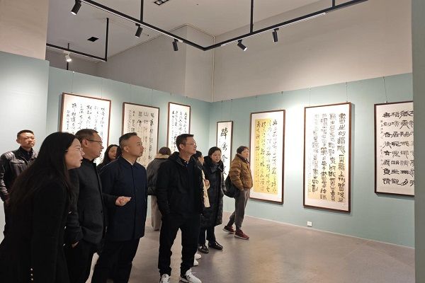 齐心聚力谋发展，砥砺前行续篇章——民进开福区工委召开2024