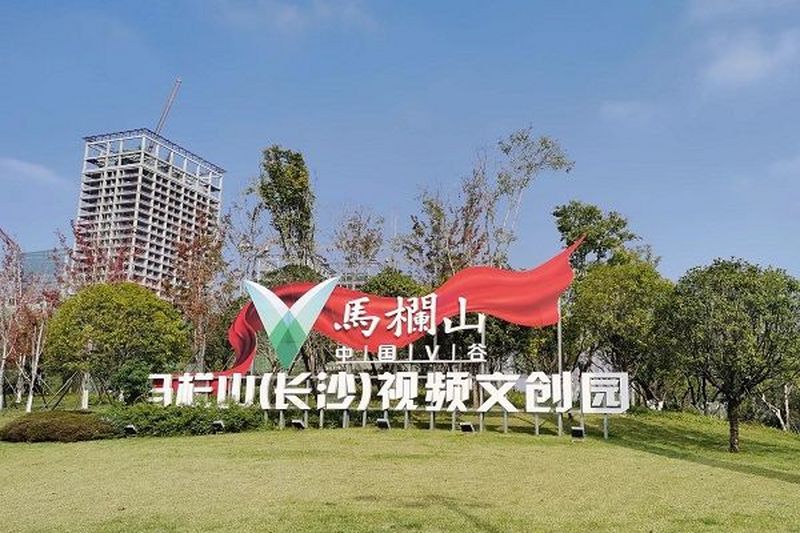 民进长沙市委会课题组赴马栏山视频文创园开展调研