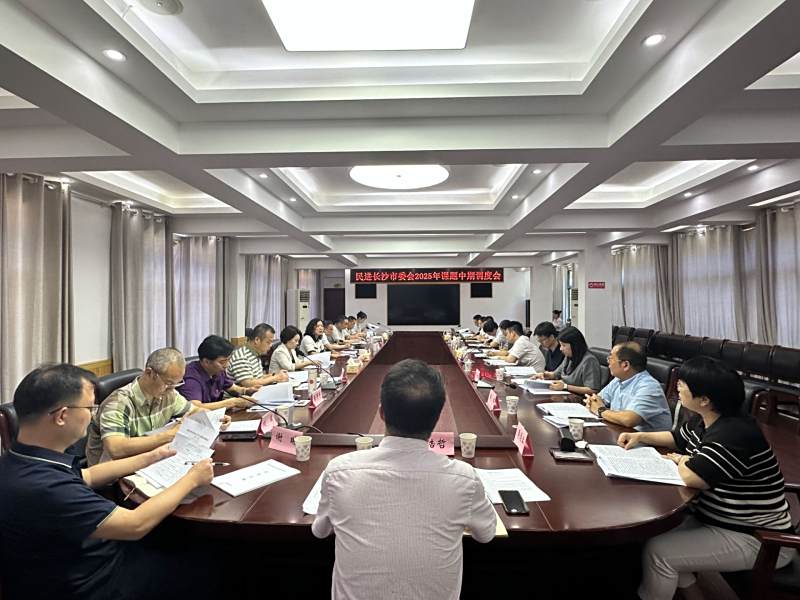 民进长沙市委会召开2025年课题中期调度会