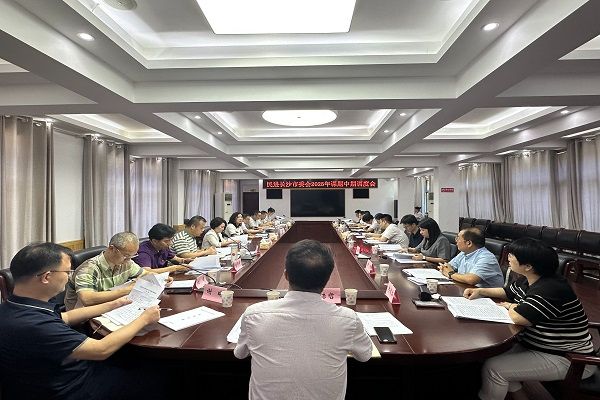 民进长沙市委会召开2025年课题中期调度会1