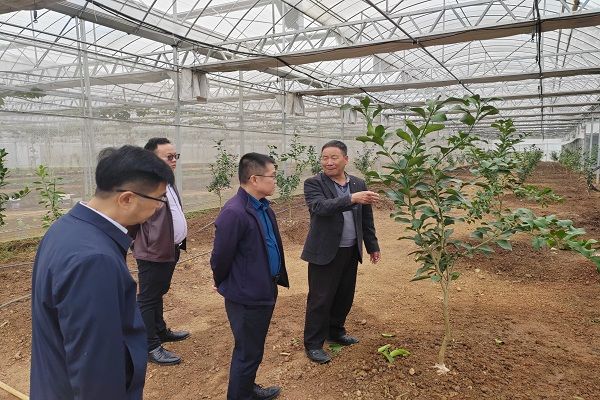 民进雨花区工委课题组赴望城开展专题调研1