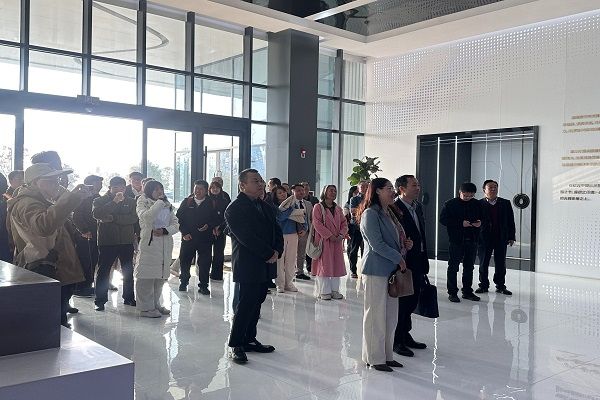 凝聚多元力量 共促湘商发展——民进直属工委综合一、二、五支部 凝聚多元力量 共促湘商发展——民进直属工委综合一、二、五支部