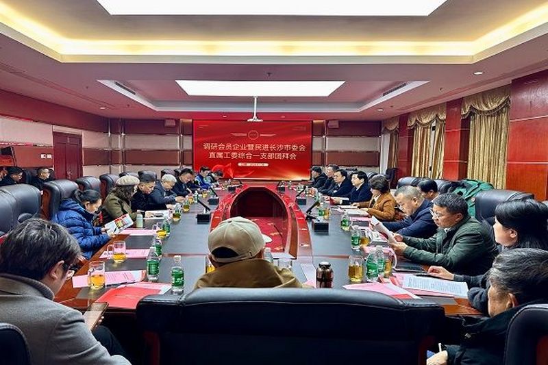 李平赴会员企业走访调研并出席直属工委综合一支部新春团拜会