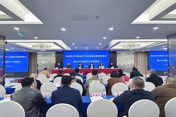 深学笃行两会精神 实干担当再启新程——民进长沙市委会召开学习