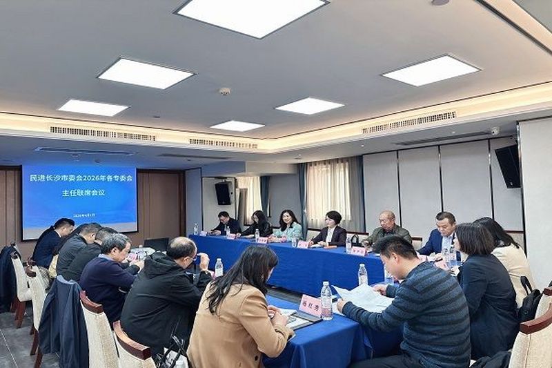 总结工作谋新篇 共商建设促履职——民进长沙市委会召开各专委会