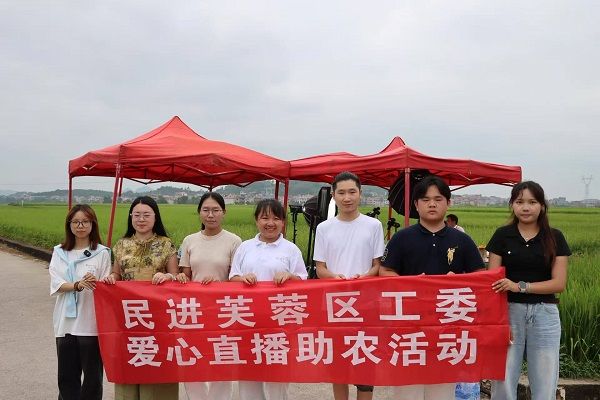 从田间到直播间！民进芙蓉区工委四支部赴新田开展爱心助农活动1