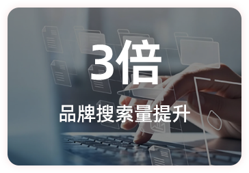 法律12