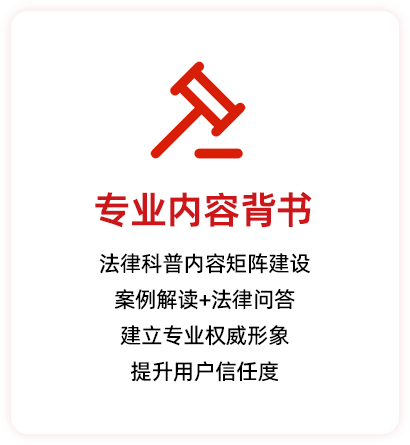 法律6