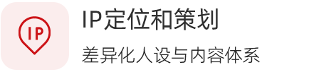 IP定位和策划