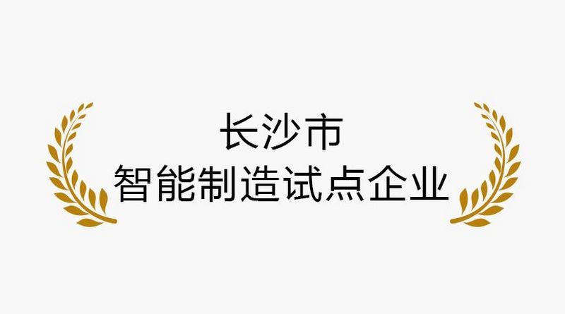 长沙市 智能制造试点企业