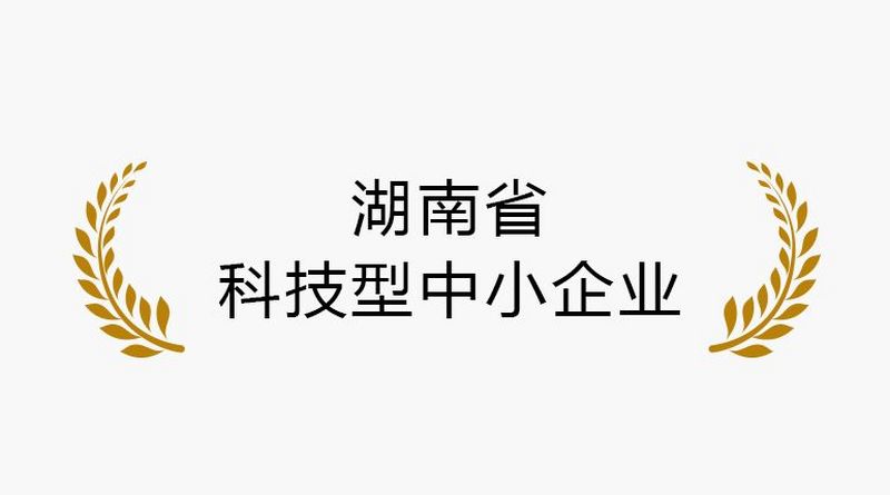 湖南省科技型中小企业