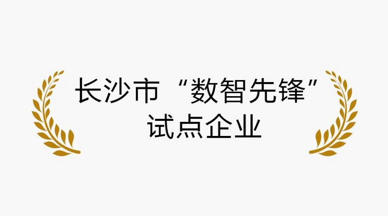 长沙市“数智先锋” 试点企业